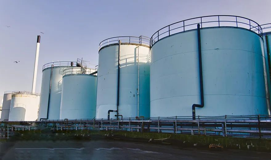 1698391575104891.jpg 1698391575104891.jpg